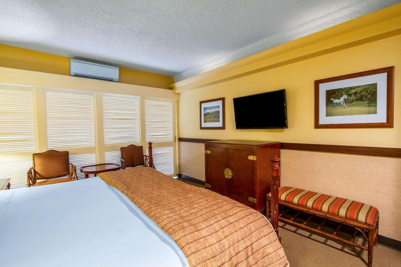 Hotel Equus Honolulu Esterno foto